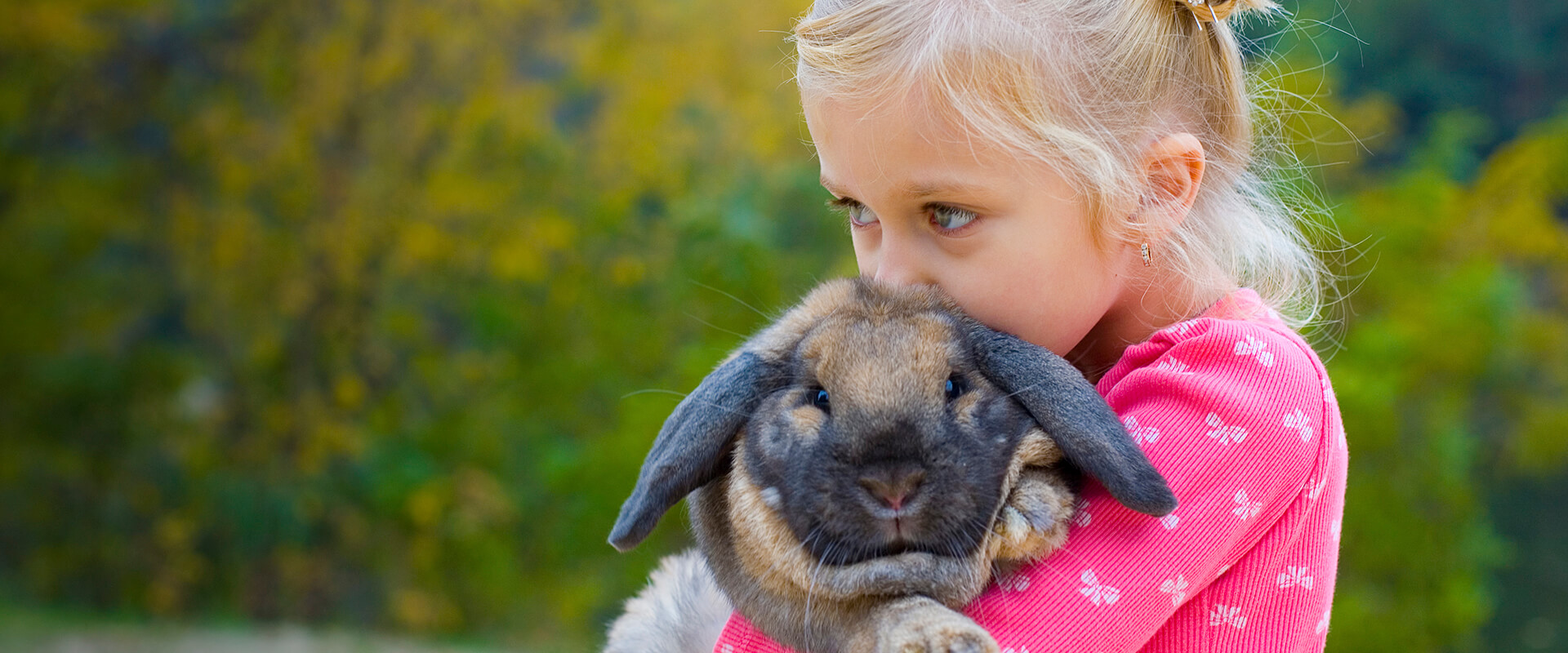 Exotics and Farm Animals